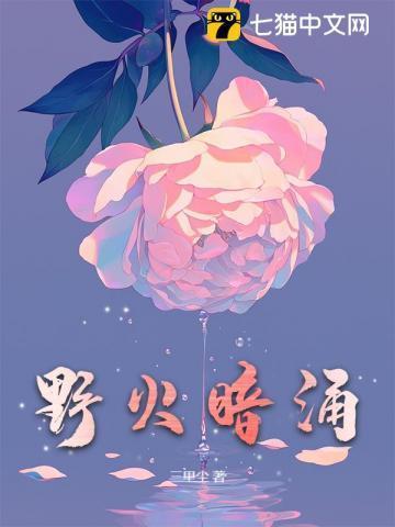 野火暗涌